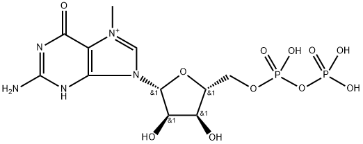 7-methylguanosine 5'-diphosphate(1+) 구조식 이미지