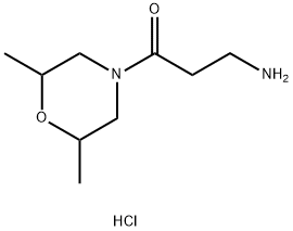 3-Amino-1-(2,6-dimethylmorpholin-4-yl)propan-1-one hydrochloride Structure