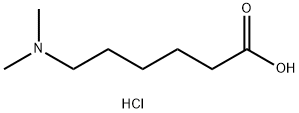 6-(dimethylamino)hexanoic acid Structure