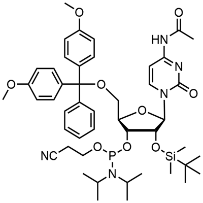 121058-88-6 Ac-rC Phosphoramidite