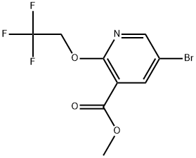 Methyl 5-bromo-2-(2,2,2-trifluoroethoxy)-3-pyridinecarboxylate Structure