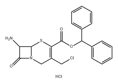 7-ACMA Structure