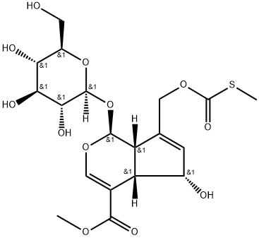 122413-01-8 Methyl paederosidate