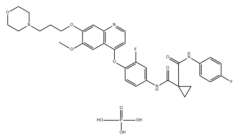 polymer Structure