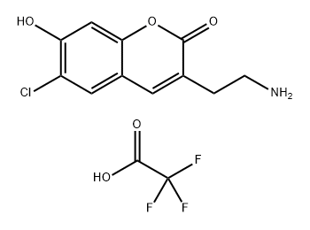 FFN202 (Mini 202) Structure