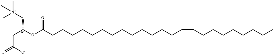 1-Propanaminium, 3-carboxy-N,N,N-trimethyl-2-[[(15Z)-1-oxo-15-tetracosen-1-yl]oxy]-, inner salt, (2R)- Structure