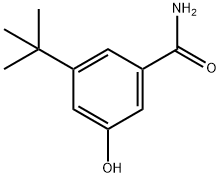 3-(1,1-Dimethylethyl)-5-hydroxybenzamide Structure