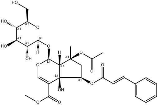 6-O-trans-Cinnamoylphlorigidoside B Structure