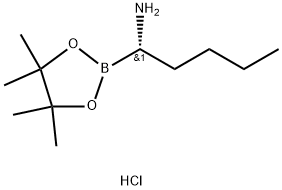(S)-1-(4,4,5,5-Tetramethyl-1,3,2-dioxaborolan-2-yl)pentan-1-amine hydrochloride Structure