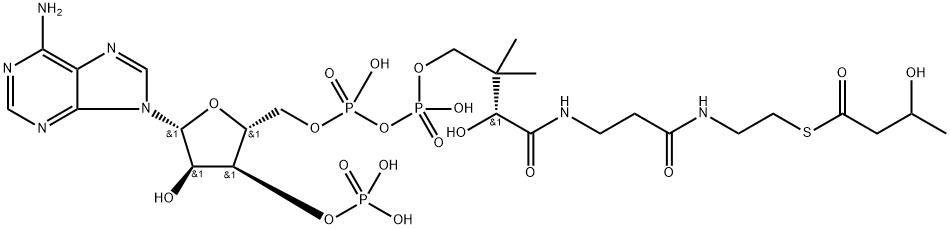 Coenzyme A, S-(3-hydroxybutanoate), labeled with carbon-13 Structure