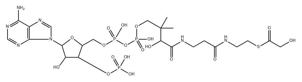 glycoyl-coenzyme A Structure