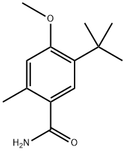 5-(1,1-Dimethylethyl)-4-methoxy-2-methylbenzamide Structure