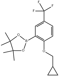 2-(2-(cyclopropylmethoxy)-5-(trifluoromethyl)phenyl)-4,4,5,5-tetramethyl-1,3,2-dioxaborolane Structure