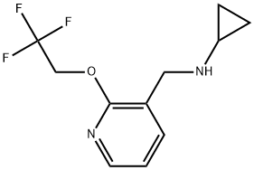 N-Cyclopropyl-2-(2,2,2-trifluoroethoxy)-3-pyridinemethanamine Structure