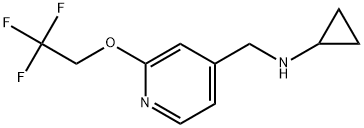 N-Cyclopropyl-2-(2,2,2-trifluoroethoxy)-4-pyridinemethanamine Structure