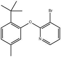 3-Bromo-2-[2-(1,1-dimethylethyl)-5-methylphenoxy]pyridine Structure