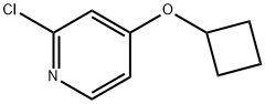 2-Chloro-4-cyclobutoxy-pyridine Structure