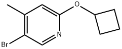 5-Bromo-2-(cyclobutyloxy)-4-methylpyridine Structure