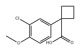 1-(3-chloro-4-methoxyphenyl)cyclobutane-1-carboxylic acid Structure