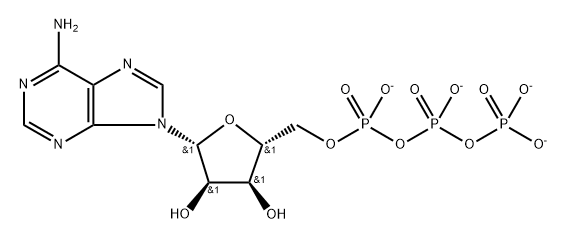 Adenosine 5'-(tetrahydrogen triphosphate), ion(4-) Structure