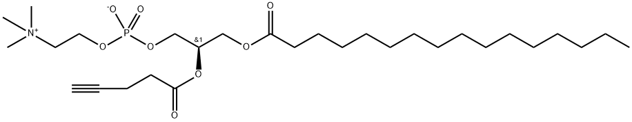 1-palmitoyl-2-(propargylacetyl)-sn-glycero-3-phosphocholine 구조식 이미지