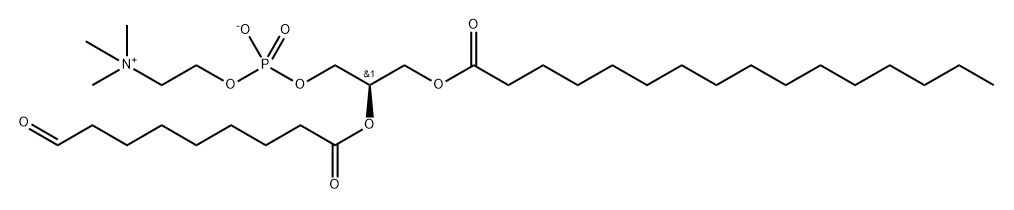 PON-PC Structure