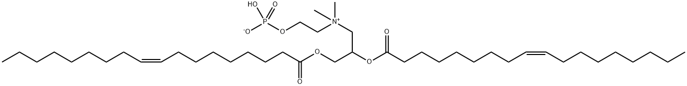 DOCP Structure