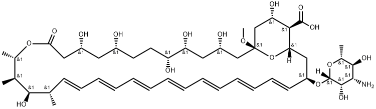 Amphotericin X1 (13-O-Methyl Amphotericin B) 구조식 이미지