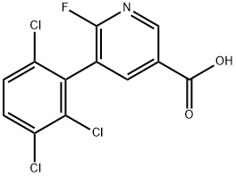 6-Fluoro-5-(2,3,6-trichlorophenyl)-3-pyridinecarboxylic acid Structure