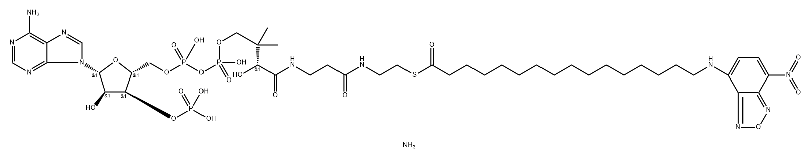 16-NBD-16:0 Coenzyme A Structure