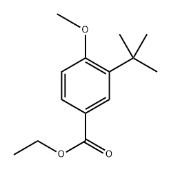 Ethyl 3-(tert-butyl)-4-methoxybenzoate Structure