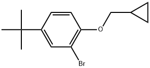 2-Bromo-1-(cyclopropylmethoxy)-4-(1,1-dimethylethyl)benzene Structure