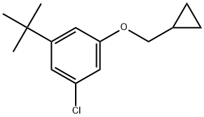 1-Chloro-3-(cyclopropylmethoxy)-5-(1,1-dimethylethyl)benzene Structure