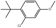 1-tert-Butyl-2-chloro-4-methoxy-benzene 구조식 이미지
