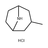 8-Azabicyclo[3.2.1]octane, 3-methyl-, hydrochloride (1:1) Structure