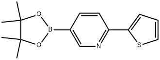 5-(4,4,5,5-Tetramethyl-1,3,2-dioxaborolan-2-yl)-2-(2-thienyl)pyridine Structure