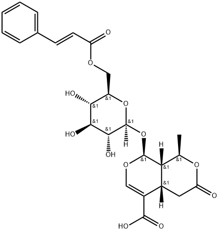 6'-O-CinnaMoyl-8-epikingisidic acid 구조식 이미지