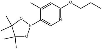 4-methyl-2-propoxy-5-(4,4,5,5-tetramethyl-1,3,2-dioxaborolan-2-yl)pyridine Structure