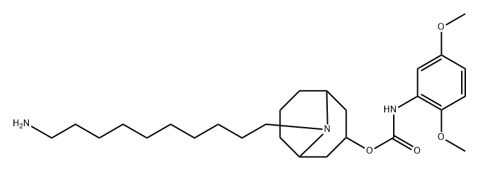 SW43 Structure