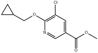 methyl 5-chloro-6-(cyclopropylmethoxy)nicotinate Structure