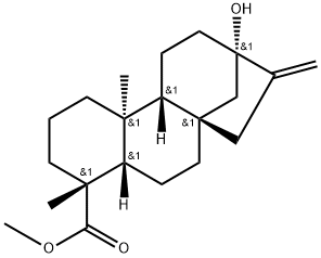 Kaur-16-en-18-oic acid, 13-hydroxy-, methyl ester, (4α)- Structure