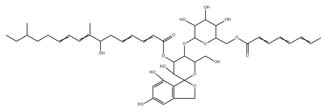 Mer WF3010 Structure