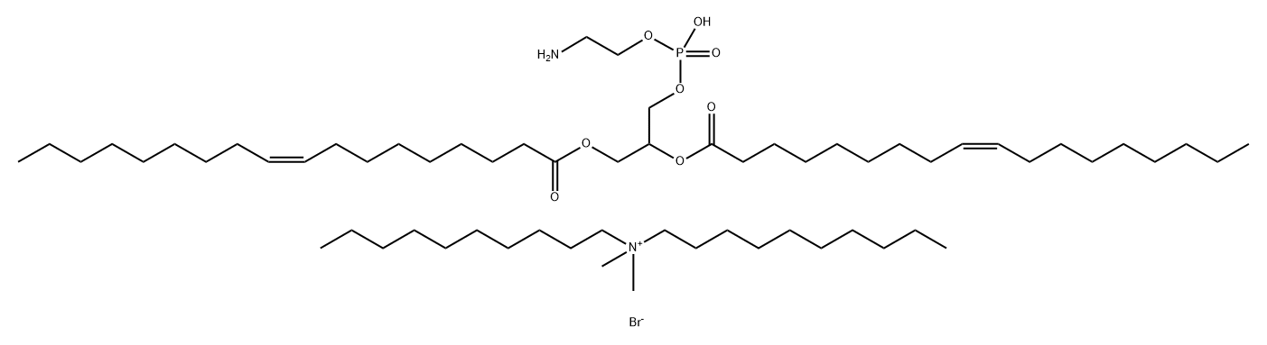 transfectACE Structure