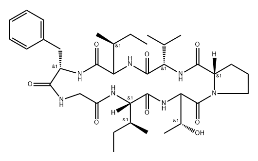 Cyclo(glycyl-L-isoleucyl-L-threonyl-L-prolyl-L-valyl-L-isoleucyl-L-phenylalanyl)(9CI) Structure