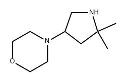 4-(5,5-dimethylpyrrolidin-3-yl)morpholine Structure