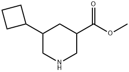 methyl5-cyclobutylpiperidine-3-carboxylate Structure