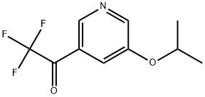 2,2,2-Trifluoro-1-(5-isopropoxypyridin-3-yl)ethanone Structure