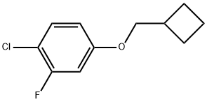 1-chloro-4-(cyclobutylmethoxy)-2-fluorobenzene Structure