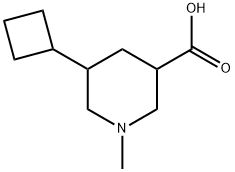 5-cyclobutyl-1-methylpiperidine-3-carboxylicacid Structure