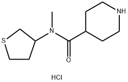 N-methyl-N-(tetrahydrothiophen-3-yl)piperidine-4-carboxamide hydrochloride Structure